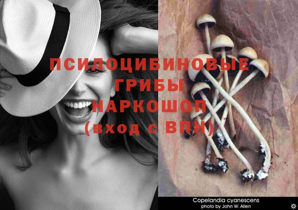 наркотики Алексин